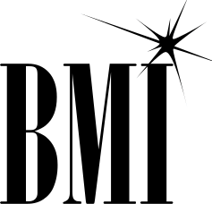BMI Light Mode